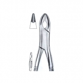 Extracting Forceps American Pattern
